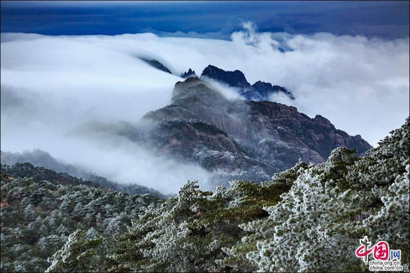 17f79cdd26694afc87234f85f04a1744