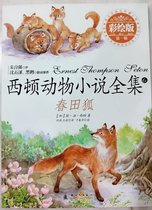 春田狐 封面 清