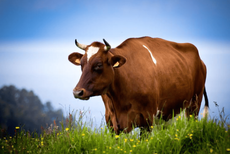 Screenshot 2023 10 02 024610