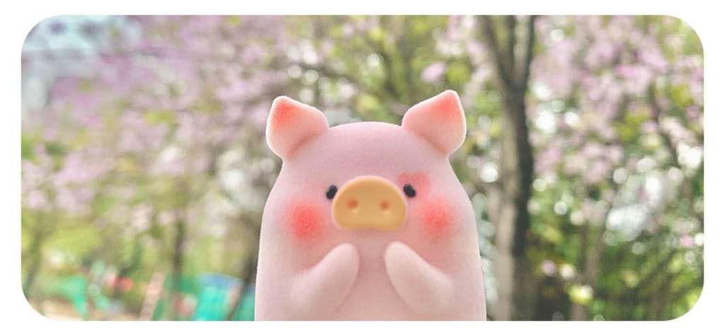 485861beab927a2214ba6ea8eb91c1e4